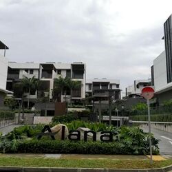 Sunrise Avenue (D28), Terrace #497830971